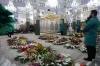 فعاليات الأسبوع الزينبي 2019-2020
مقام السيدة زينب (ع) يتزيّن بآلاف الورود الطبيعية المهداة من الشعب الإيراني بمناسبة ذكرى ولادتها